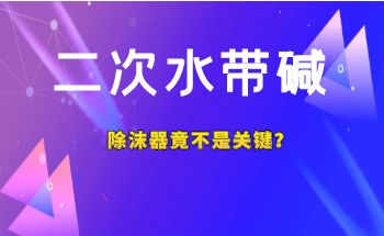二次水帶堿，除沫器竟不是關(guān)鍵？